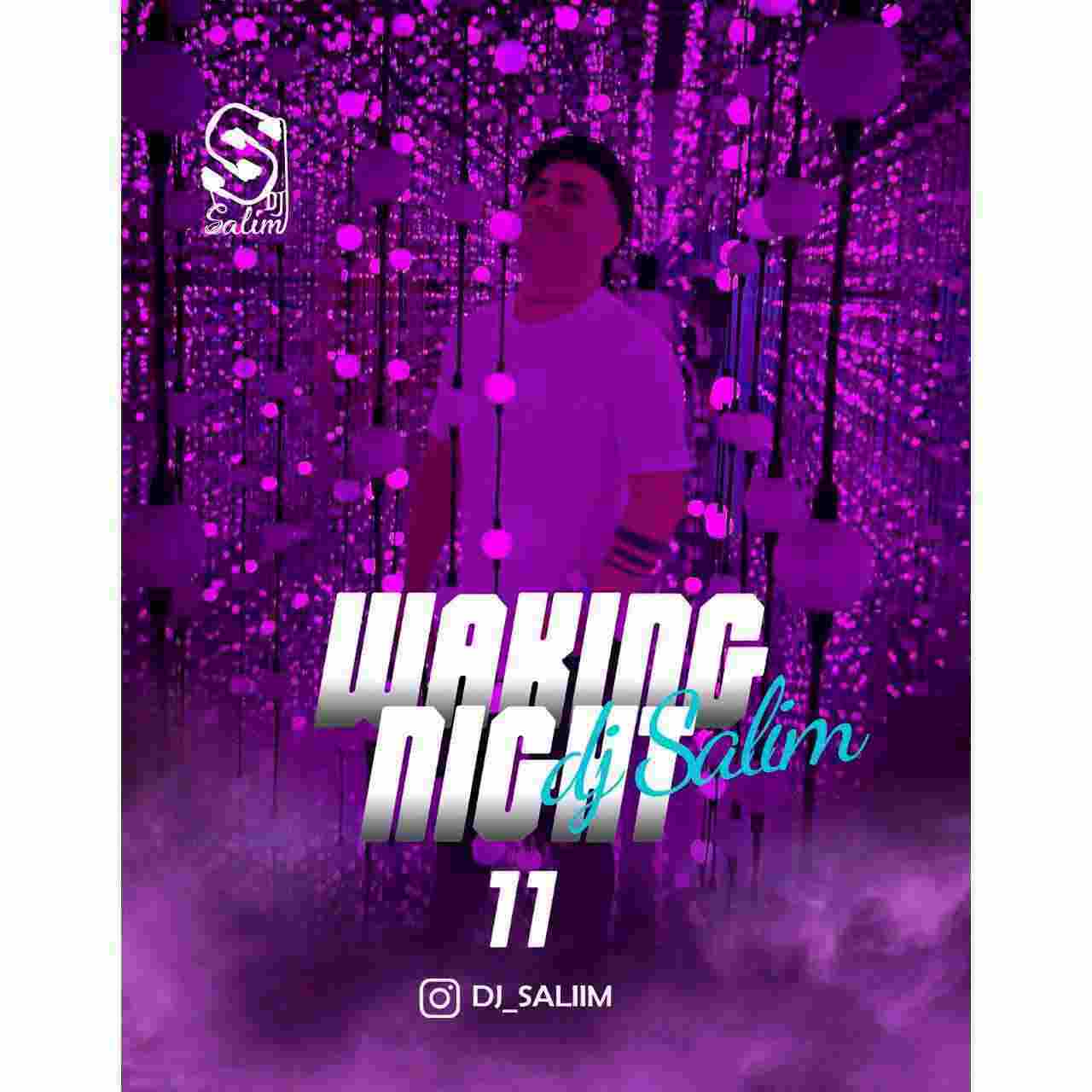 Waking Night 11