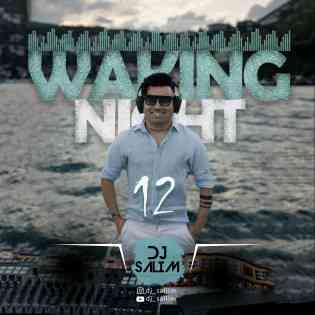 Waking Night 12