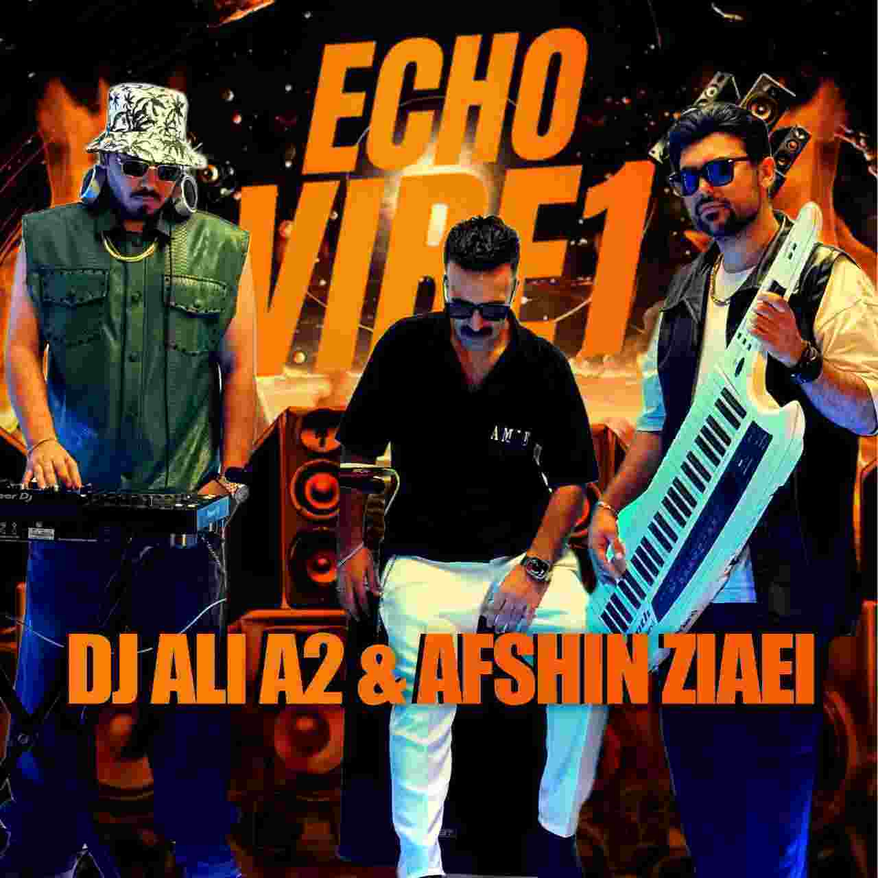 Echo Vibe1