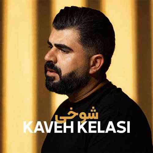 شوخی