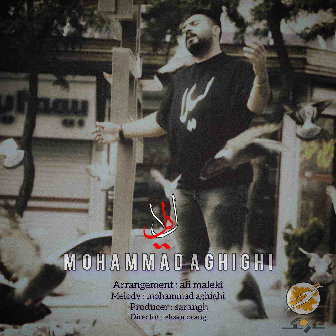 Mohammad Aghighi