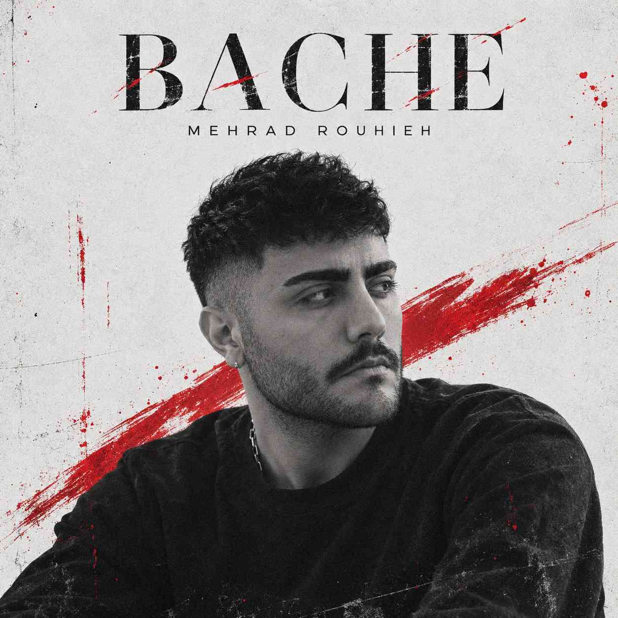 Bache