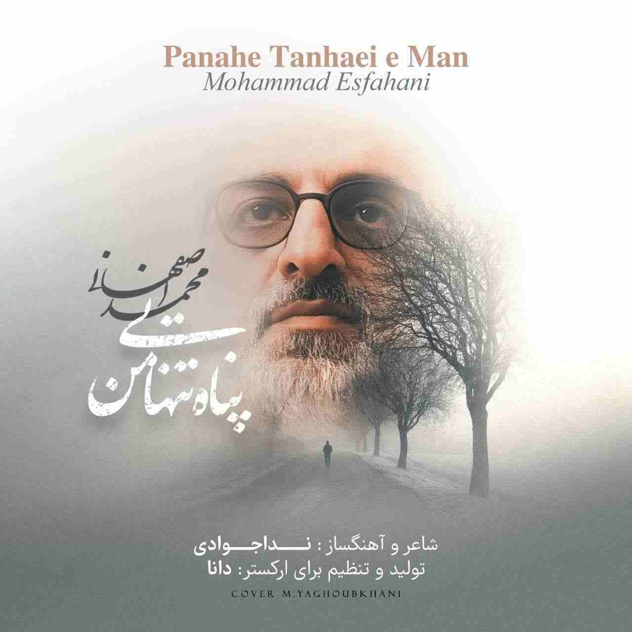 Panahe Tanhaeie Man