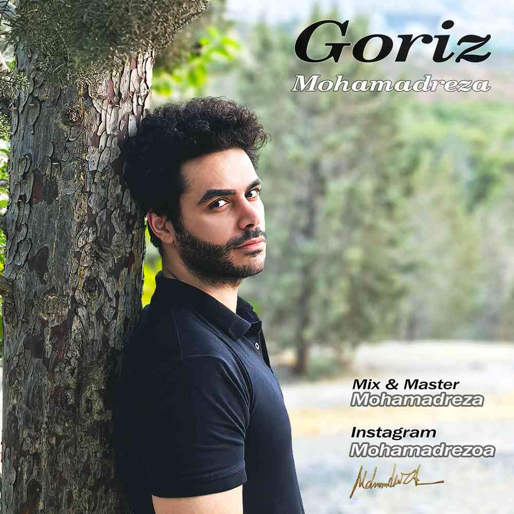 Goriz
