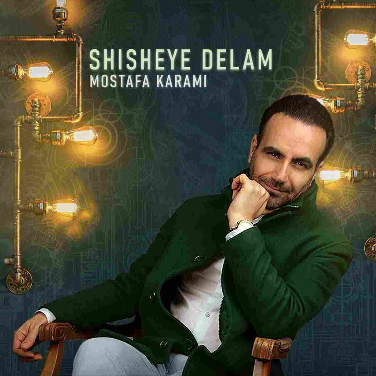 Shisheye Delam