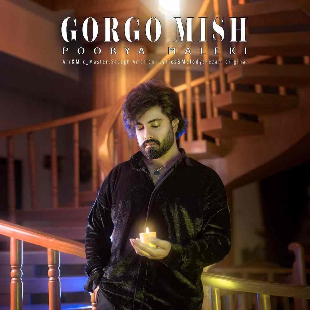 Gorgo Mish