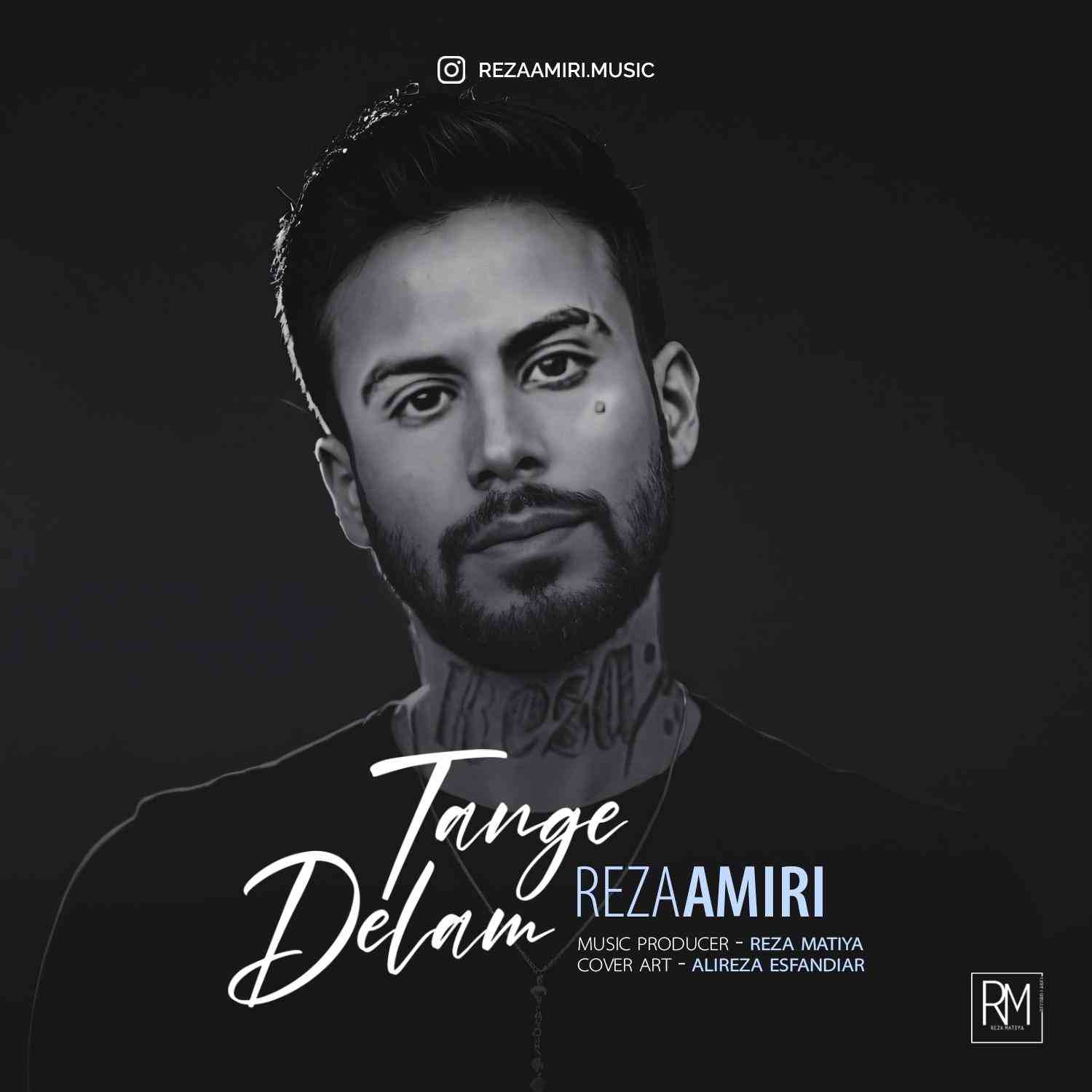Delam Tange