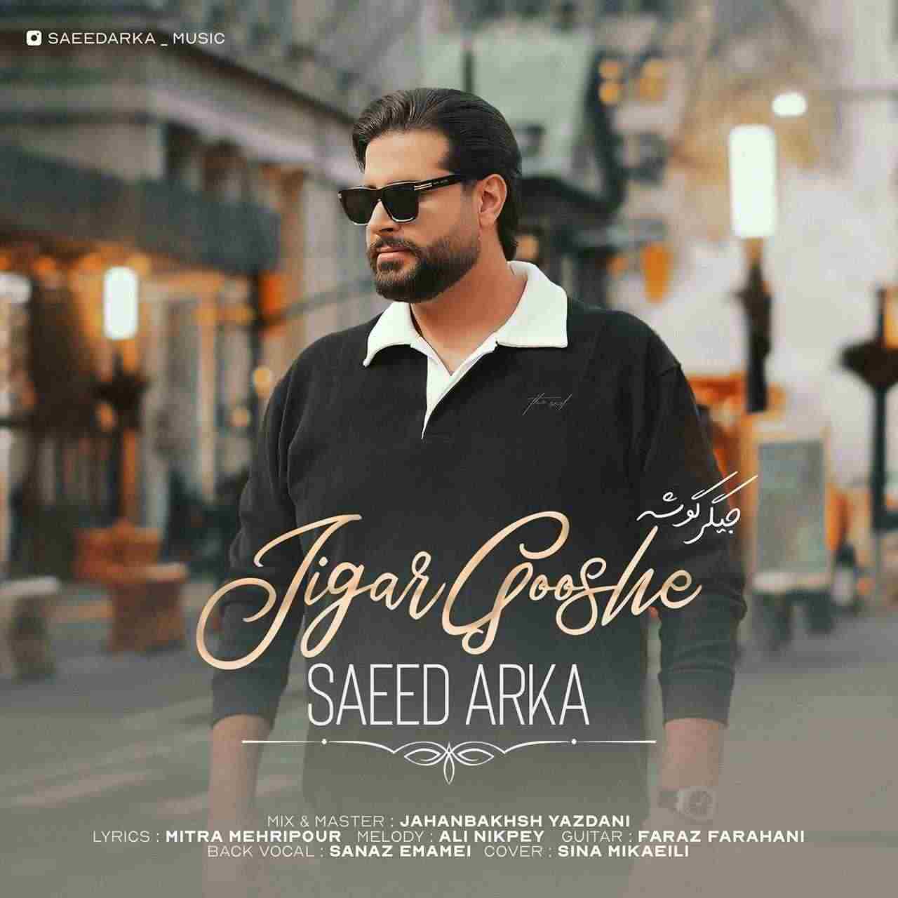 Jigar Gooshe