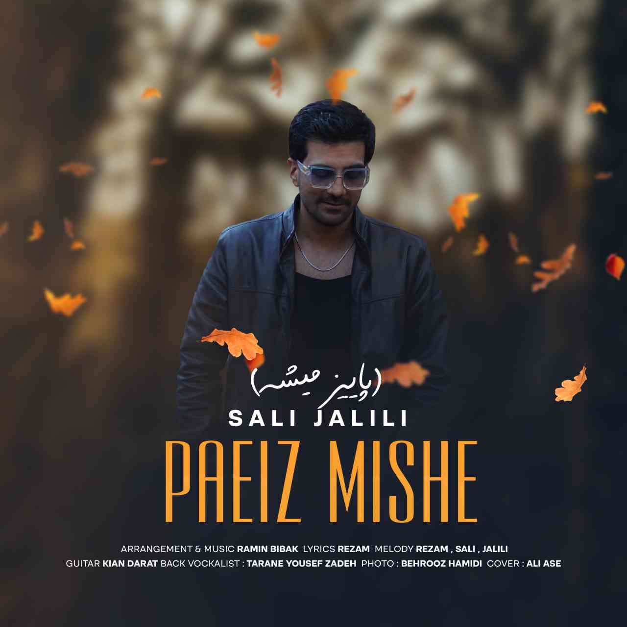 Paeiz Mishe