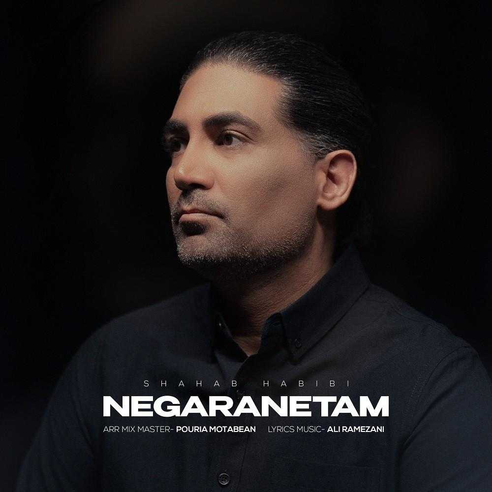 Negaranetam