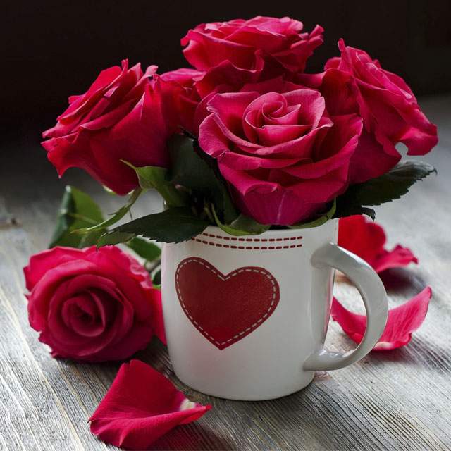 _omid  __khosh ghadam 